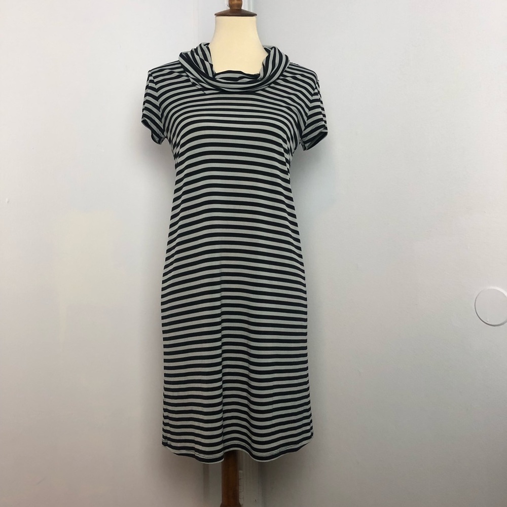 Anne Taylor Loft Dress